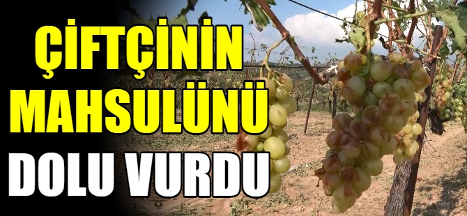 Çiftçinin mahsulünü dolu vurdu