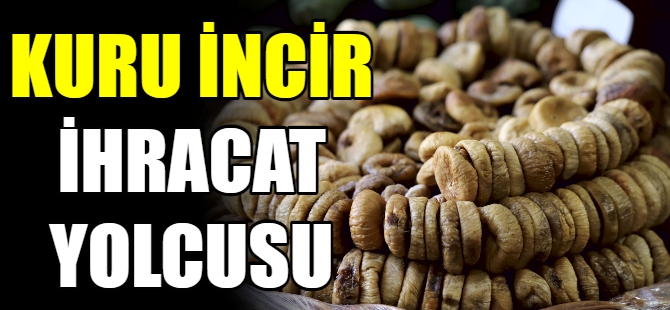 Kuru incir ihracatı başlıyor