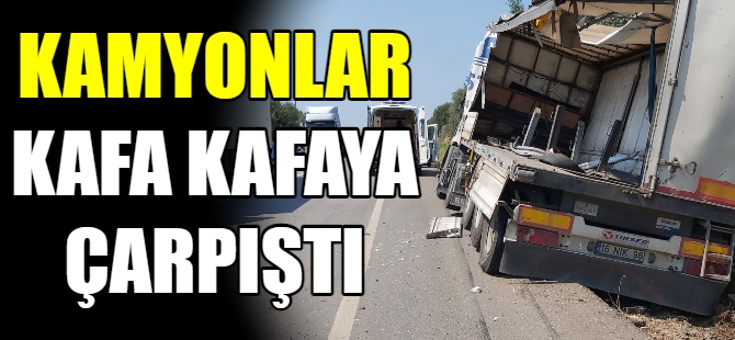 Kamyonlar kafa kafaya çarpıştı