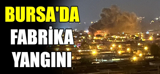 Bursa'da Fabrika yangını