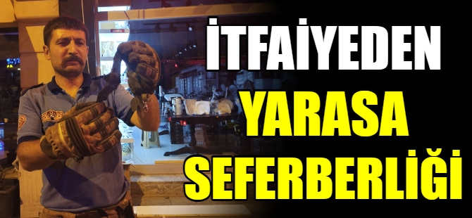İtfaiyeden yarasa seferberliği