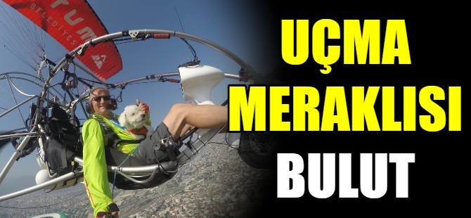 Uçma meraklısı Bulut
