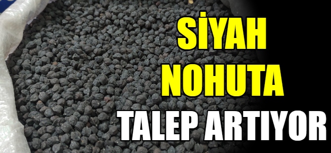 Siyah nohut büyük talep görüyor