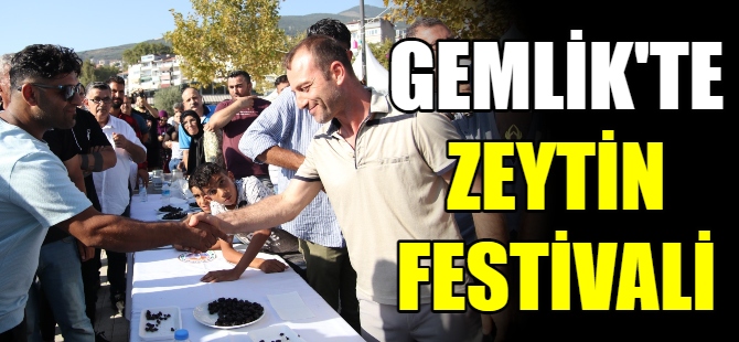 Gemlik'te zeytin festivali