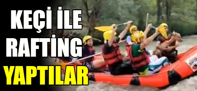 Keçi ile rafting yaptılar