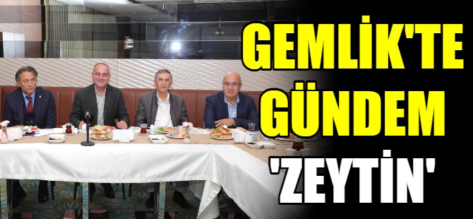 Gemlik’te gündem ‘Zeytin’