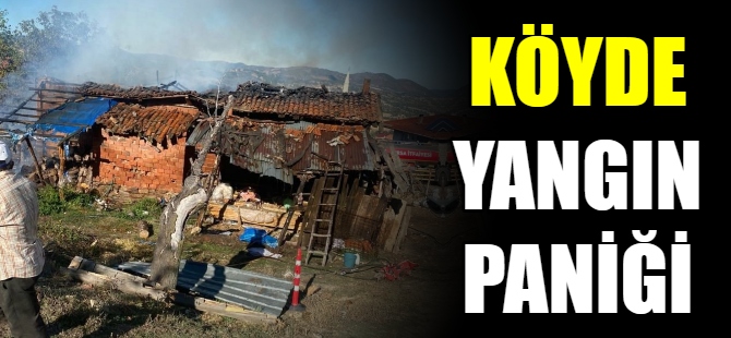 Köyde yangın paniği