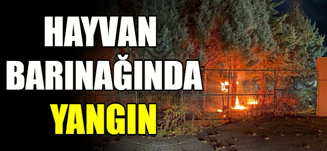 Hayvan barınağında yangın