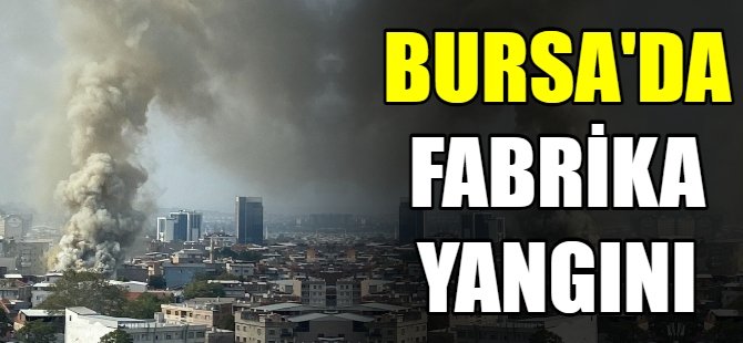 Bursa'da fabrika yangını!