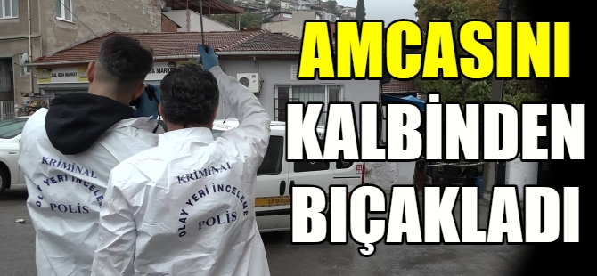 Amcasını kalbinden bıçakladı