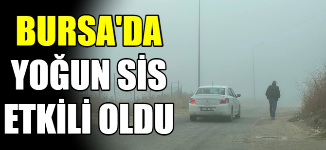 Bursa’da sis etkili oldu