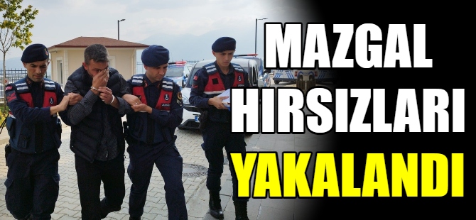 Mazgal hırsızları yakalandı