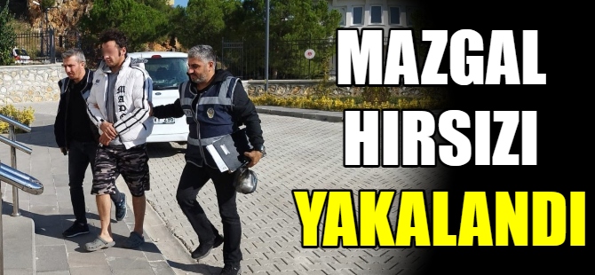 Mazgal hırsızı yakalandı