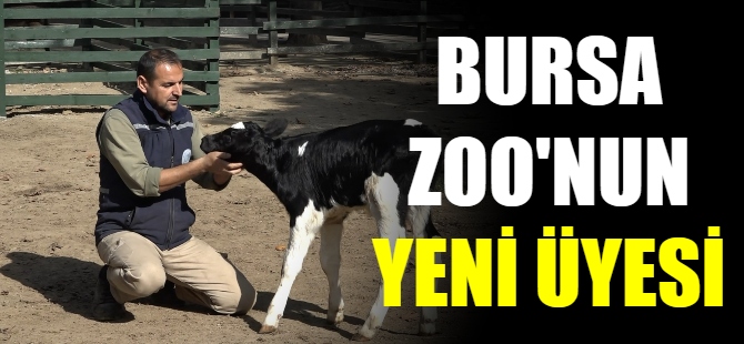 Bursa Zoo’nun yeni üyesi