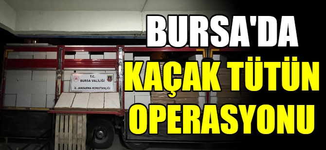 Bursa'da kaçak makaron operasyonu