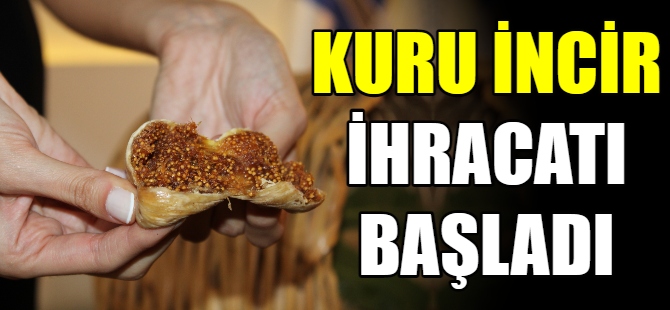 Kuru incir ihracat sezonu başladı