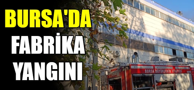 Bursa'da fabrika yangını