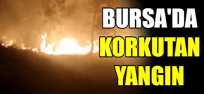 Bursa’da korkutan yangın