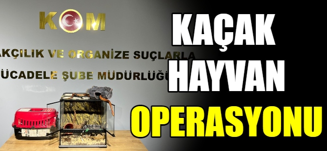 Hayvan kaçakçılarına operasyon