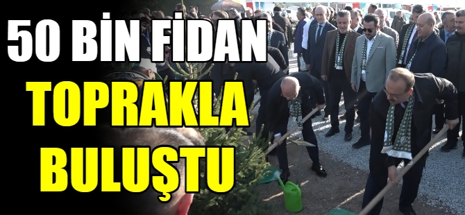 50 bin fidan toprakla buluştu