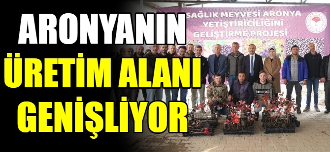 Aronyanın üretim alanı genişliyor