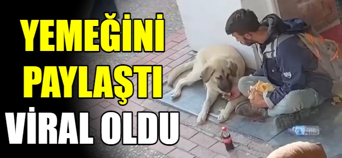 Yemeğini sokak köpeği ile paylaştı