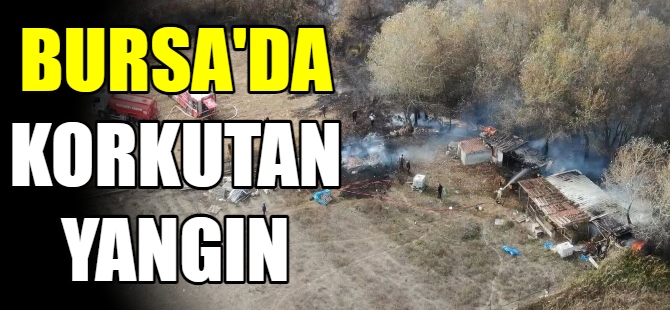 Bursa'da korkutan yangın