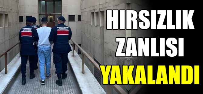 Hırsızlık zanlısı yakalandı