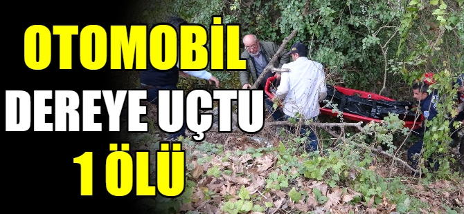 Otomobil dereye uçtu: 1 ölü