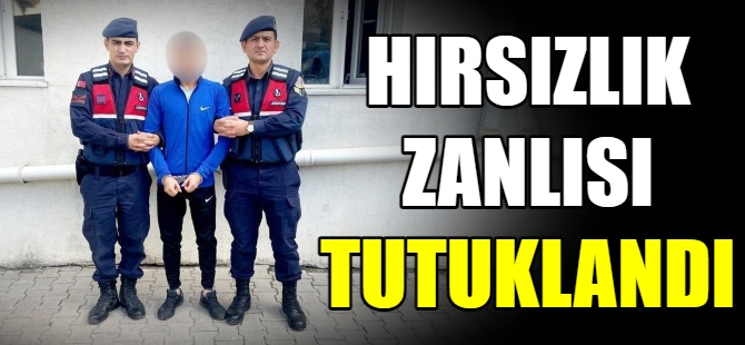 Hırsızlık zanlısı tutuklandı