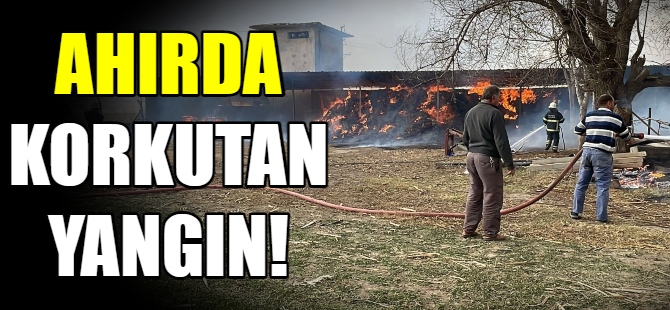 Ahırda korkutan yangın