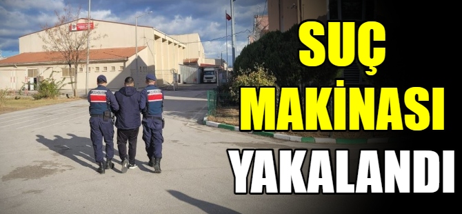 Suç makinası yakalandı