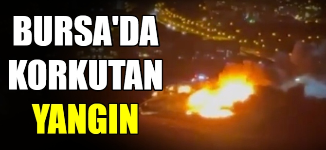 Bursa'da korkutan yangın