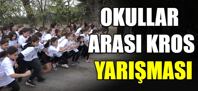 Okullar arası kros yarışması