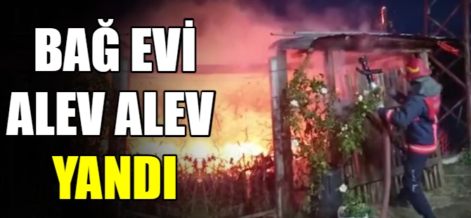 Bağ evi alev alev yandı