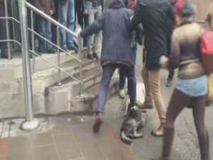 Köpeklerin kavgasını böyle ayırdılar