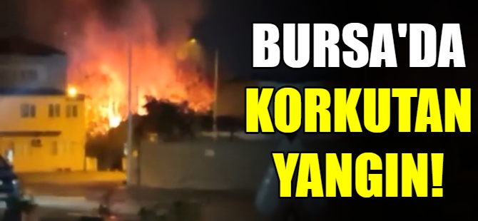 Bursa’da korkutan yangın