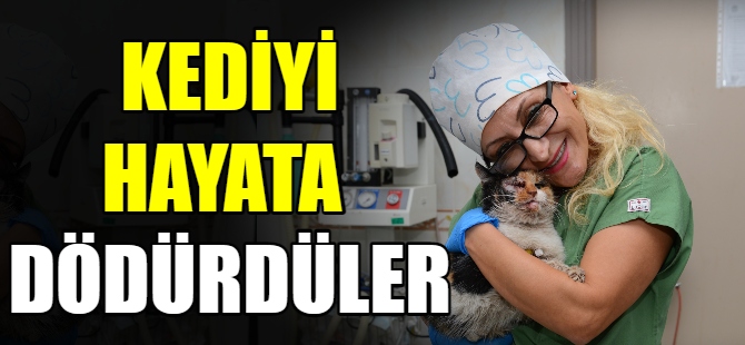 Kediyi hayata döndürdüler