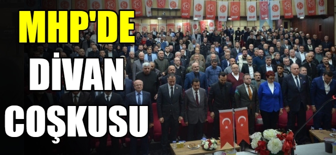 MHP'den divan coşkusu