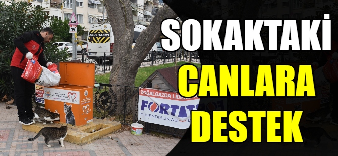 Sokaktaki canlara destek