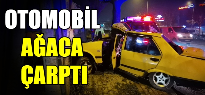 Otomobil ağaca çarptı