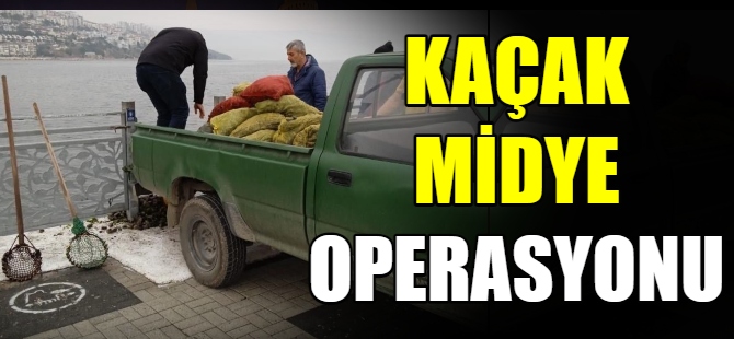 Kaçak midye operasyonu