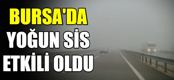 Bursa’da sis etkili oldu