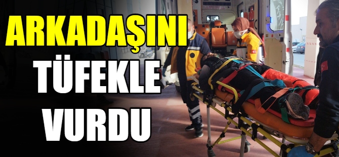 Arkadaşını tüfekle vurdu