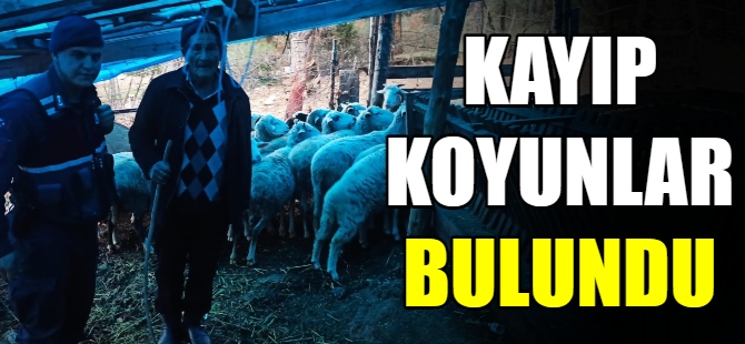 Kayıp koyunlar bulundu