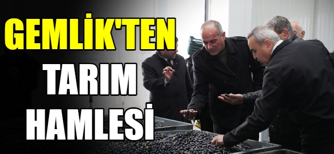 Gemlik'te tarım hamlesi