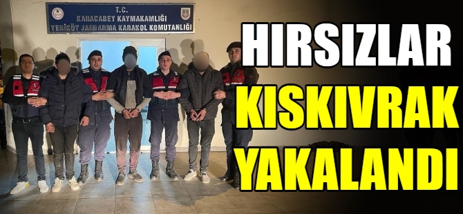 Hırsızlar kıskıvrak yakalandı