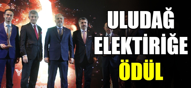 Uludağ Elektrik’e yenileşim ödülü