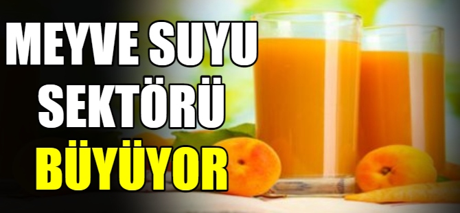 Meyve suyu sektörü büyüyor