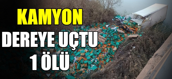 Kamyon dereye uçtu 1 ölü